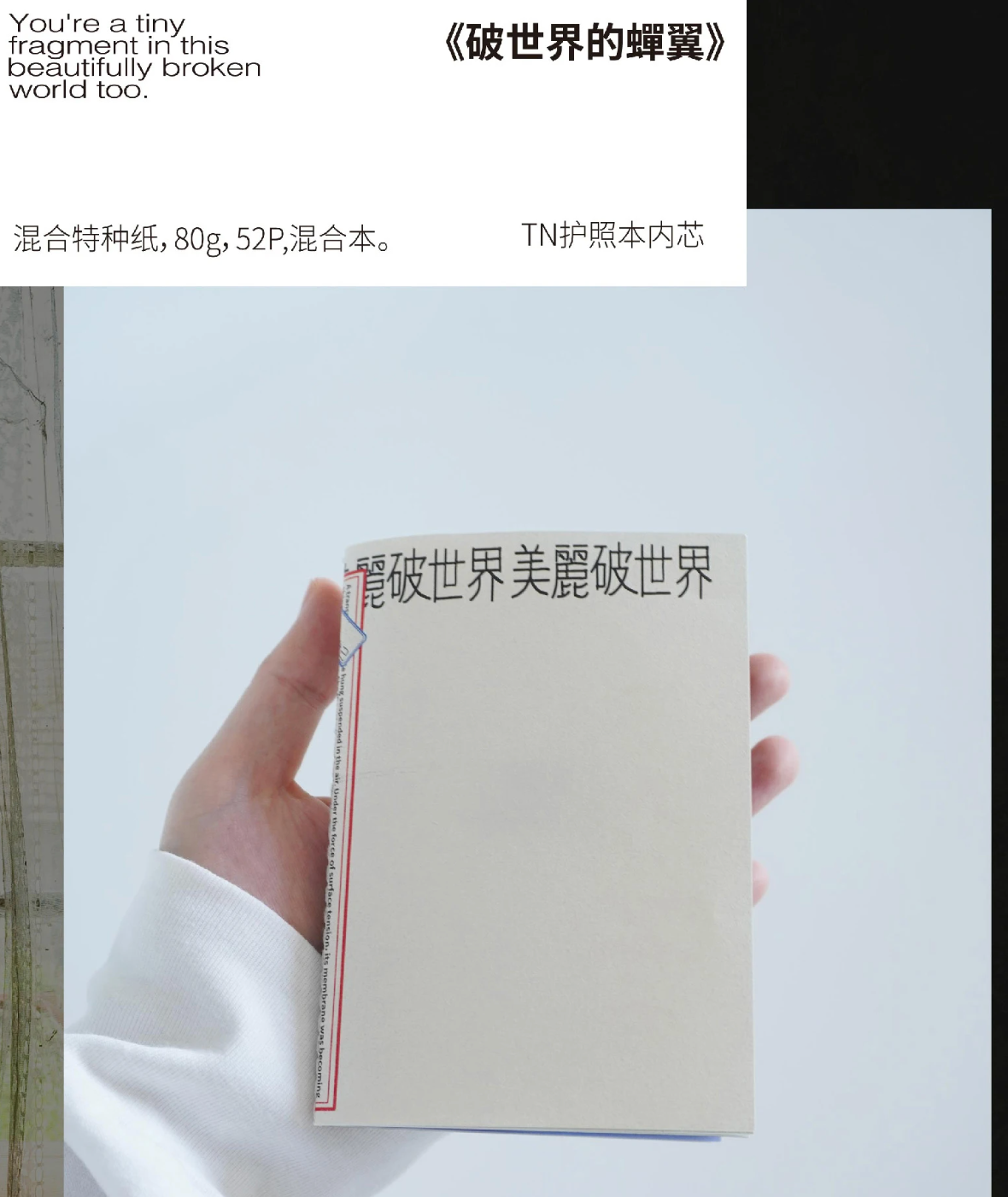 Inserts pour carnet de voyage « Nullthing »
