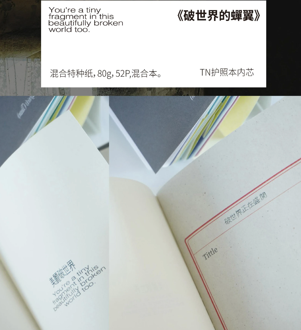 Inserts pour carnet de voyage « Nullthing »